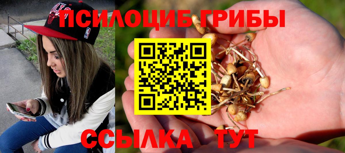 Псилоцибиновые грибы Magic Shrooms Нерюнгри